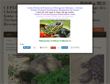 Tablet Screenshot of cepec-tortues.fr